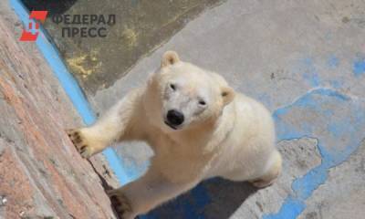 В Челябинске отстояли городской бор возле зоопарка - fedpress.ru - Челябинск - Сергей