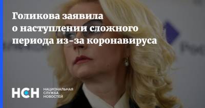 Татьяна Голикова - Голикова заявила о наступлении сложного периода из-за коронавируса - nsn.fm - Россия