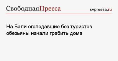 На Бали оголодавшие без туристов обезьяны начали грабить дома - svpressa.ru