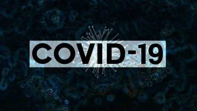 Медики назвали блокирующие COVID-19 экстракты четырёх растений - actualnews.org