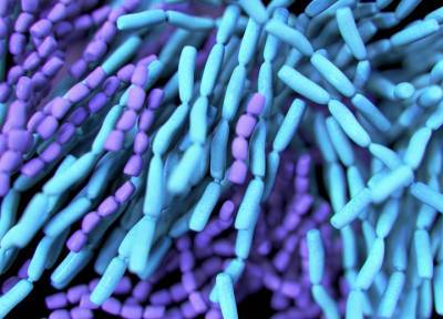 Российские ученые обнаружили пробиотики, способные подавлять коронавирус - province.ru