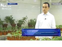 Антиковидные помидоры и ряженка: к борьбе с коронавиром готовят съедобные вакцины - newsland.com - Узбекистан