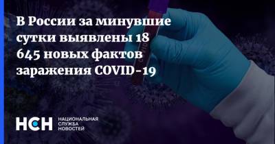 В России за минувшие сутки выявлены 18 645 новых фактов заражения COVID-19 - nsn.fm - Россия