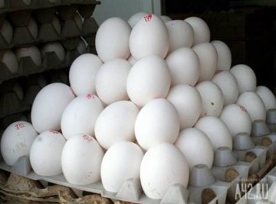 В России вывели кур, яйца которых можно использовать для производства вакцин - gazeta.a42.ru - Россия