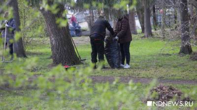 Мэрия Кургана назначила дату осенней генеральной уборки города - newdaynews.ru - Курган