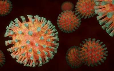 Ученые выяснили, когда появился первый коронавирус - korrespondent.net - Украина - Англия
