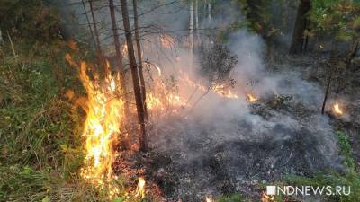 Дождя в сентябре не будет, леса продолжат гореть - newdaynews.ru - Свердловская обл.