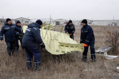 Судья Стинхейс сообщил о смерти одного из свидетелей по делу о крушении рейса MH17 - argumenti.ru - Украина - Амстердам