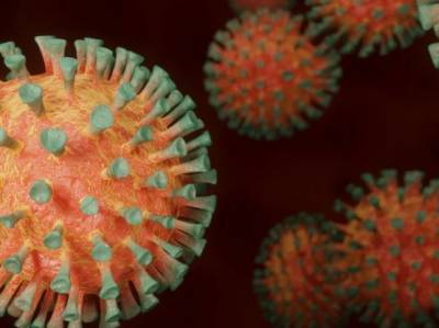 Дарья Крючко - Российские ученые создали прибор для выявления коронавируса за 27 минут - actualnews.org - Россия