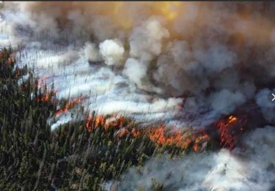Из-за лесных пожаров в Сибири образовалось 800 мегатонн углекислого газа - argumenti.ru - республика Саха