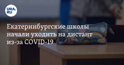 Екатеринбургские школы начали уходить на дистант из-за COVID-19 - ura.news