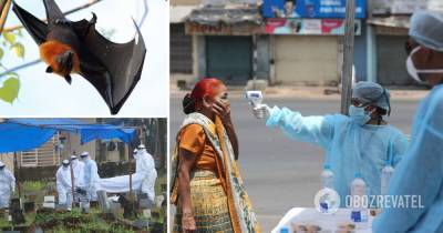 Джордж Вина - Вирус Нипах: симптомы, чем опасен, как передается – сколько человек заболели в Индии - obozrevatel.com - India - штат Керала