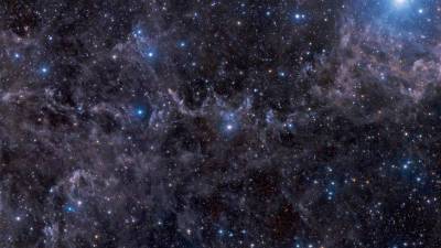 Пол Дэвис - Вирусы могут существовать в любой области Вселенной - mir24.tv - Сша - штат Аризона