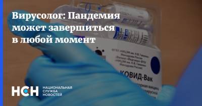 Александр Шестопалов - Вирусолог: Пандемия может завершиться в любой момент - nsn.fm