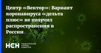 Центр «Вектор»: Вариант коронавируса «дельта плюс» не получил распространения в России - nsn.fm - Россия