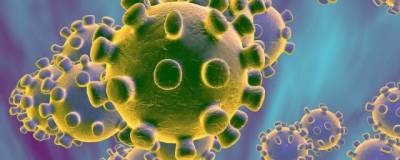 Америка выделила $3 млн на исследование коронавируса в 2014-2019 годах - runews24.ru - Сша - Китай - Ухань