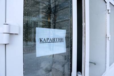 В Челябинской области школьные классы начали закрывать на карантин по ОРВИ - znak.com - Челябинская обл.