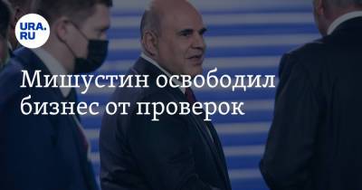 Михаил Мишустин - Мишустин освободил бизнес от проверок - ura.news - Россия