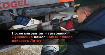 Александр Лукашенко - После мигрантов — грузовики: Лукашенко нашел новый способ наказать Литву - rubaltic.ru - Белоруссия - Литва