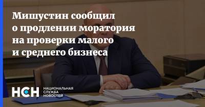 Михаил Мишустин - Мишустин сообщил о продлении моратория на проверки малого и среднего бизнеса - nsn.fm - Россия