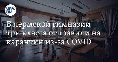 В пермской гимназии три класса отправили на карантин из-за COVID - ura.news - Пермь