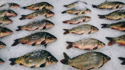 Олег Кобяков - В ФАО заявили, что рыбная продукция не может переносить COVID-19 - russian.rt.com - Россия