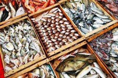 Экспорт российской рыбной продукции в Китай в 2021 году снизился в три раза - eadaily.com - Россия - Китай