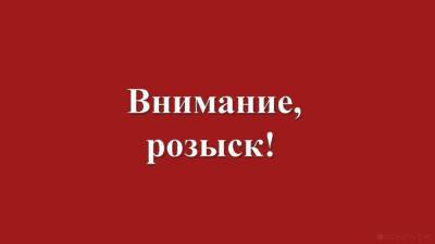 В Томске ищут не вернувшуюся из школы девочку-подростка - newdaynews.ru - Красноярский край - Томск