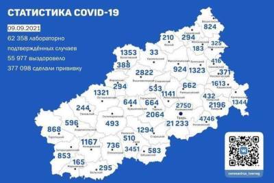 В 29 районах Тверской области зарегистрировали новые случаи коронавируса - tver.mk.ru - Тверская обл. - Тверь - городское поселение Нелидовский - округ Оленинский - округ Лихославльский