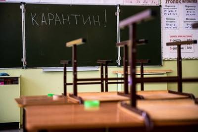 Классы почти 20 школ в российском регионе ушли на карантин из-за коронавируса - lenta.ru - Алтайский край