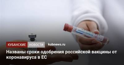 Марко Кавалери - Названы сроки одобрения российской вакцины от коронавируса в ЕС - kubnews.ru - Франция - Амстердам