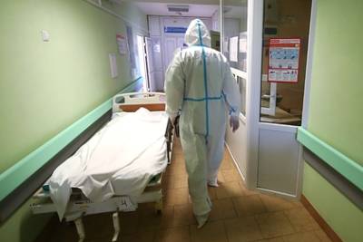 Владимир Болибок - Иммунолог допустил локдаун из-за эпидемии гриппа в России - lenta.ru - Россия