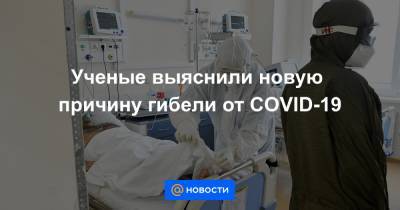 Ученые выяснили новую причину гибели от COVID-19 - news.mail.ru - Нью-Йорк