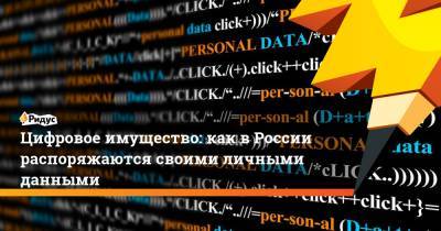 Цифровое имущество: как в России распоряжаются своими личными данными - ridus.ru - Россия