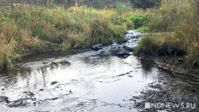 В Кургане начали расчистку реки Битевка, которая опоясывает ЦПКиО - newdaynews.ru - Курганская обл.