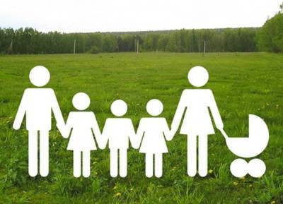 Многодетные семьи в Новосибирской области получат дополнительные меры социальной поддержки - nakanune.ru - Новосибирская обл.