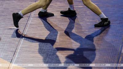 В турнире по вольной борьбе на призы Александра Медведя примут участие атлеты из 9 стран - belta.by - Белоруссия - Минск