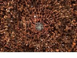 Беспредел с QR-кодами вернётся чиновникам бумерангом - newsland.com