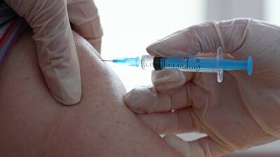 Александр Гинцбург - Гинцбург дал рекомендации по питанию для недавно вакцинированных - mir24.tv
