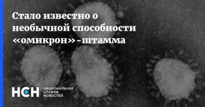 Александр Чепурнов - Стало известно о необычной способности «омикрон»-штамма - nsn.fm