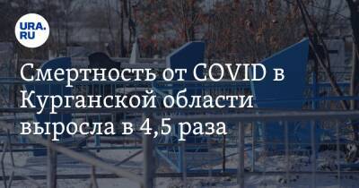 Смертность от COVID в Курганской области выросла в 4,5 раза - ura.news - Курганская обл.