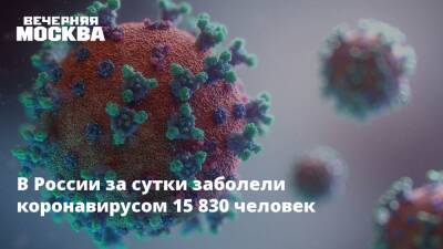 В России за сутки заболели коронавирусом 15 830 человек - vm.ru - Россия - Москва