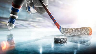Обезьяна произвела вбрасывание перед началом матча НХЛ «Анахайм» – «Детройт» (ВИДЕО) - mir24.tv - Россия - Лос-Анджелес - штат Калифорния - Рига