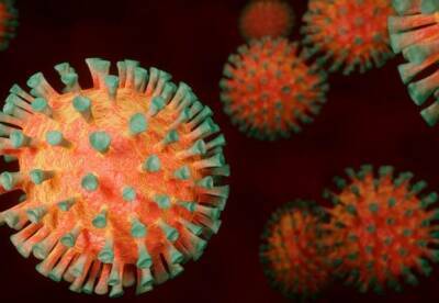В Финляндии создали молекулу, способную защитить от коронавируса - facenews.ua - Украина - Финляндия - Хельсинки