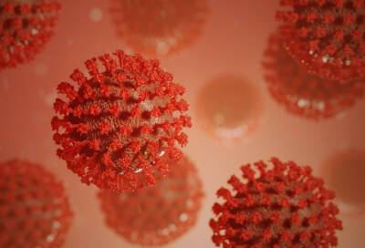 Камиль Хафизов - Ученые из Лондона выяснили, что Т-клетки после обычной простуды могут защитить от заражения коронавирусом - online47.ru - Россия - Англия - Лондон