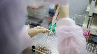 За сутки в Узбекистане выявили 425 случаев коронавируса - russian.rt.com - Узбекистан - Ташкент