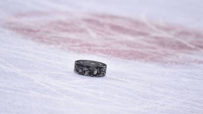 НХЛ перенесла матч «Филадельфия» — «Каролина» из-за коронавируса - russian.rt.com