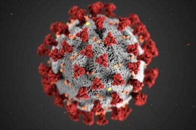Роспотребнадзор предупредил о риске одновременного заражения гриппом и COVID-19 - pnp.ru - Чехия