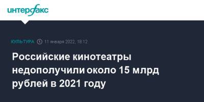 Олег Березин - Российские кинотеатры недополучили около 15 млрд рублей в 2021 году - interfax.ru - Москва