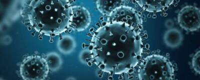Энтони Фаучи - Project Veritas: американская компания занималась изучением коронавирусов перед пандемией - runews24.ru - Сша - Китай - Ухань